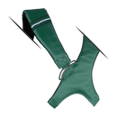 Mid-Stripe Dual Strap Accessory Green
