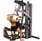 Body-Solid F600-3 Fusion 600 Personal Trainer with Bi-Angular Press Arm 310-Pound
