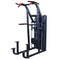 Body Solid (S2ACDX-2) Pro Clubline Series II Chin and Dip Machine, Commercial and Home Fitness Equipment, Pull Up Station and Dip Bars for Strength Training, 235 Lb. Weight Stack